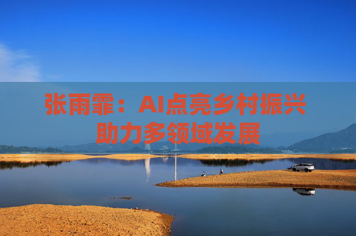 张雨霏：AI点亮乡村振兴 助力多领域发展
