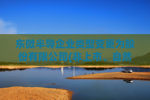 东微半导企业类型变更为股份有限公司(非上市、自然人投资或控股)  第1张