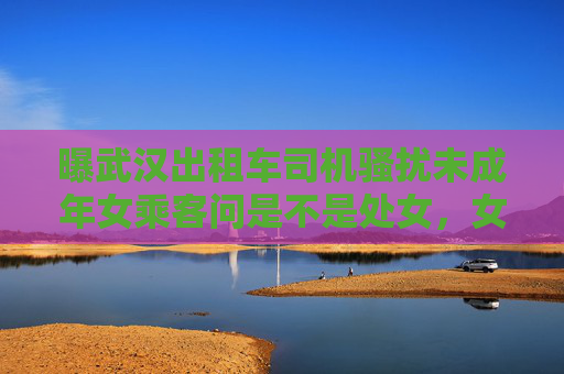 曝武汉出租车司机骚扰未成年女乘客问是不是处女，女乘客：当时穿着汉服，并不暴露