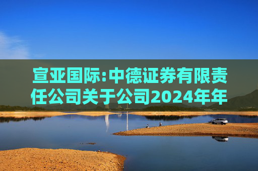 宣亚国际:中德证券有限责任公司关于公司2024年年度跟踪报告