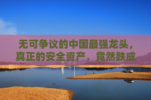 无可争议的中国最强龙头，真正的安全资产，竟然跌成了高股息股