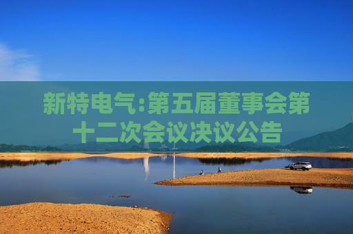 新特电气:第五届董事会第十二次会议决议公告