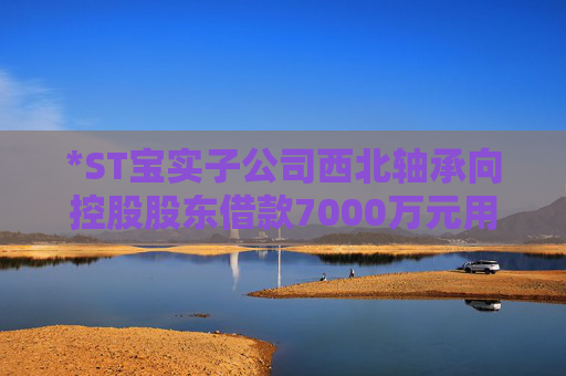 *ST宝实子公司西北轴承向控股股东借款7000万元用于项目建设