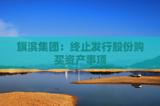 旗滨集团：终止发行股份购买资产事项