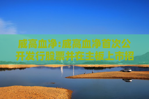 威高血净:威高血净首次公开发行股票并在主板上市招股说明书提示性公告