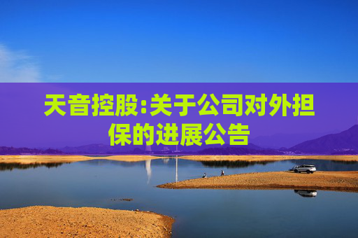 天音控股:关于公司对外担保的进展公告