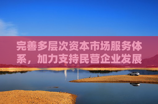 完善多层次资本市场服务体系，加力支持民营企业发展