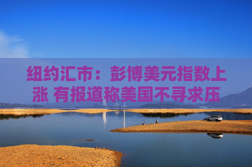 纽约汇市：彭博美元指数上涨 有报道称美国不寻求压低美元汇率