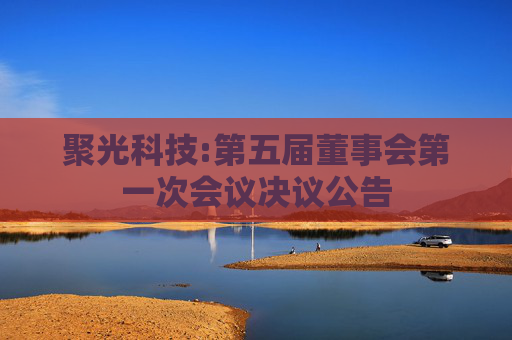 聚光科技:第五届董事会第一次会议决议公告