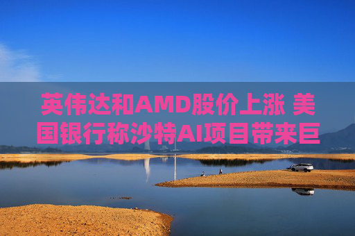 英伟达和AMD股价上涨 美国银行称沙特AI项目带来巨大商机
