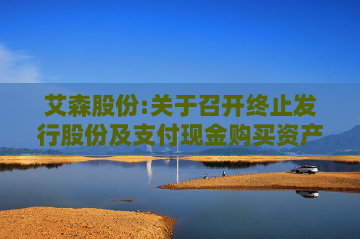 艾森股份:关于召开终止发行股份及支付现金购买资产并募集配套资金事项投资者说明会的公告
