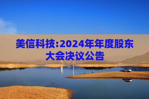 美信科技:2024年年度股东大会决议公告