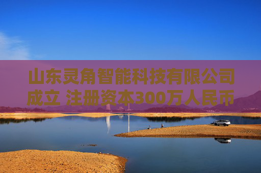 山东灵角智能科技有限公司成立 注册资本300万人民币  第1张