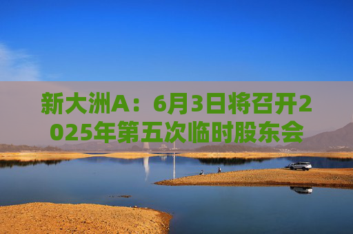 新大洲A：6月3日将召开2025年第五次临时股东会
