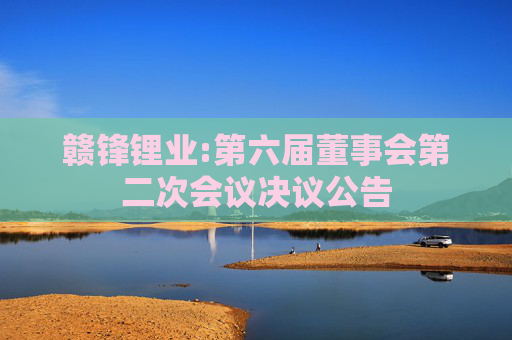 赣锋锂业:第六届董事会第二次会议决议公告