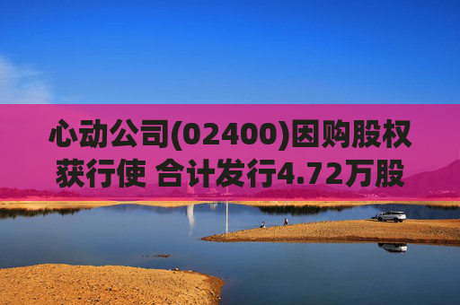 心动公司(02400)因购股权获行使 合计发行4.72万股