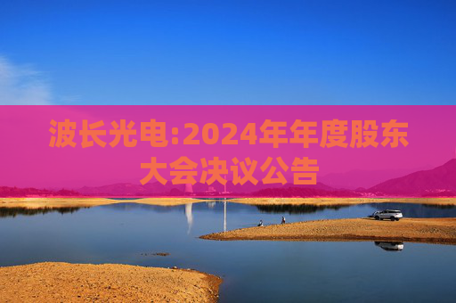 波长光电:2024年年度股东大会决议公告