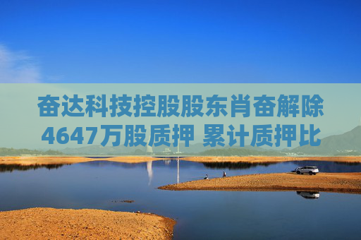 奋达科技控股股东肖奋解除4647万股质押 累计质押比例达74.15%