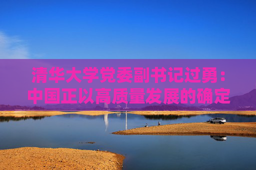 清华大学党委副书记过勇：中国正以高质量发展的确定性为世界经济提供“稳定锚”