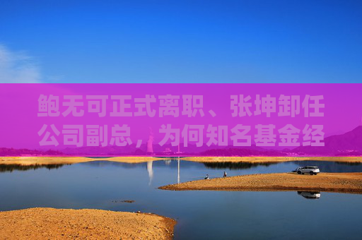 鲍无可正式离职、张坤卸任公司副总，为何知名基金经理今年变动频频？
