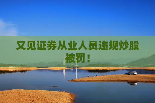 又见证券从业人员违规炒股被罚！
