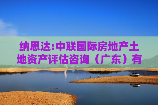 纳思达:中联国际房地产土地资产评估咨询（广东）有限公司关于纳思达股份有限公司重大资产重组前发生业绩“变脸”或本次重组存在拟出售资产情形相关事项之专项核查意见