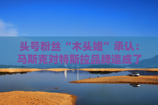 头号粉丝“木头姐”承认：马斯克对特斯拉品牌造成了损害