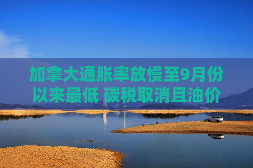 加拿大通胀率放慢至9月份以来最低 碳税取消且油价下跌