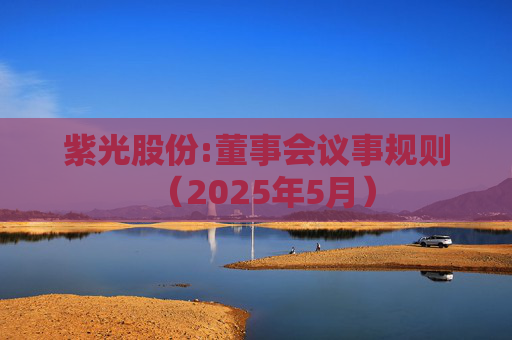 紫光股份:董事会议事规则（2025年5月）