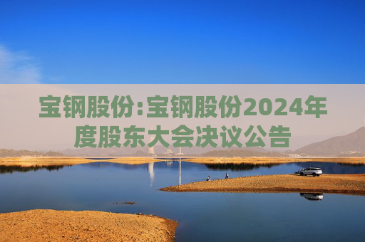 宝钢股份:宝钢股份2024年度股东大会决议公告