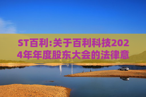 ST百利:关于百利科技2024年年度股东大会的法律意见