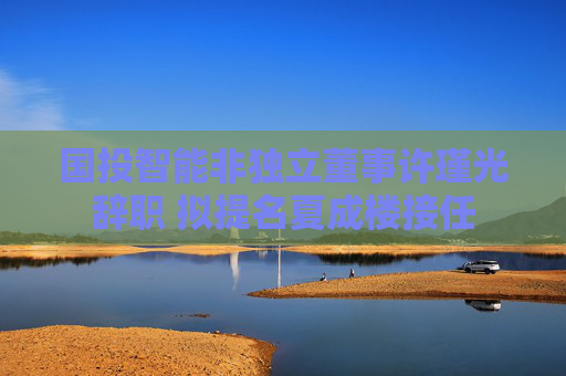 国投智能非独立董事许瑾光辞职 拟提名夏成楼接任