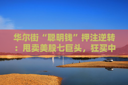 华尔街“聪明钱”押注逆转：甩卖美股七巨头，狂买中国科技股！
