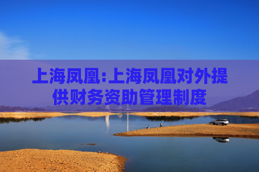 上海凤凰:上海凤凰对外提供财务资助管理制度