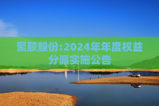 聚胶股份:2024年年度权益分派实施公告