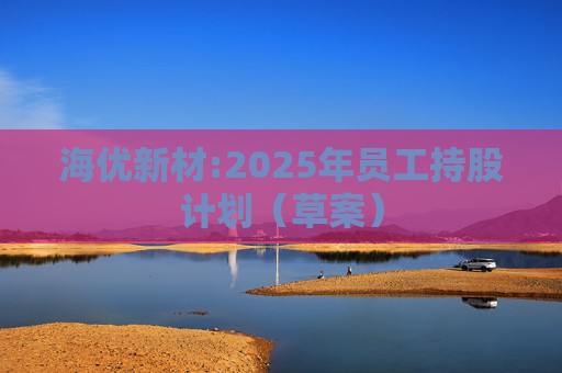 海优新材:2025年员工持股计划（草案）