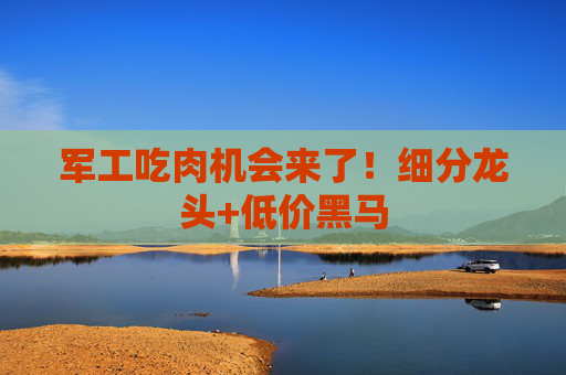 军工吃肉机会来了！细分龙头+低价黑马