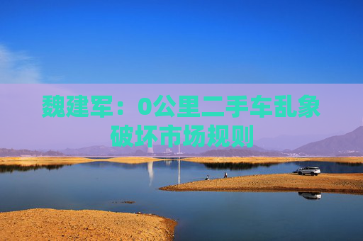 魏建军：0公里二手车乱象破坏市场规则