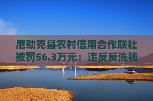 尼勒克县农村信用合作联社被罚56.3万元：违反反洗钱管理规定