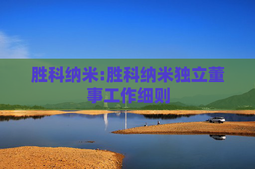 胜科纳米:胜科纳米独立董事工作细则  第1张