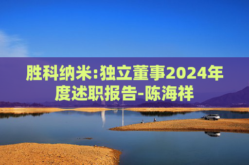 胜科纳米:独立董事2024年度述职报告-陈海祥