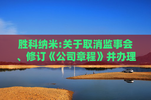 胜科纳米:关于取消监事会、修订《公司章程》并办理工商变更登记及修订部分公司治理制度的公告