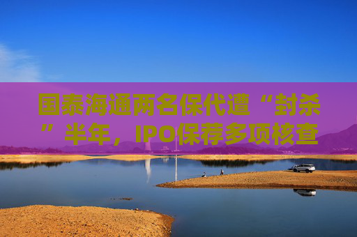 国泰海通两名保代遭“封杀”半年，IPO保荐多项核查意见不准确