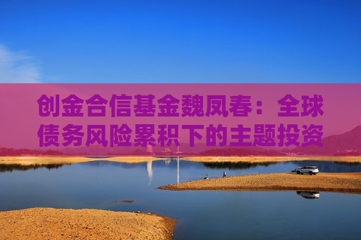 创金合信基金魏凤春：全球债务风险累积下的主题投资