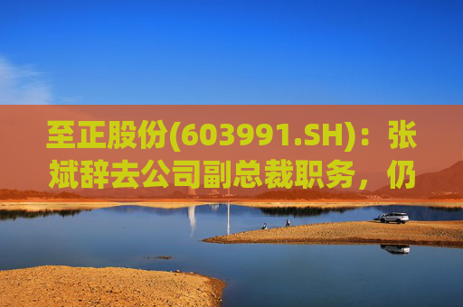 至正股份(603991.SH)：张斌辞去公司副总裁职务，仍在公司担任其他职务  第1张