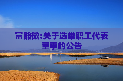 富瀚微:关于选举职工代表董事的公告