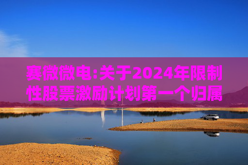 赛微微电:关于2024年限制性股票激励计划第一个归属期归属条件成就的公告