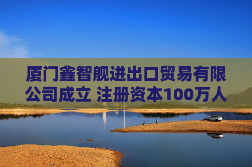厦门鑫智舰进出口贸易有限公司成立 注册资本100万人民币  第1张