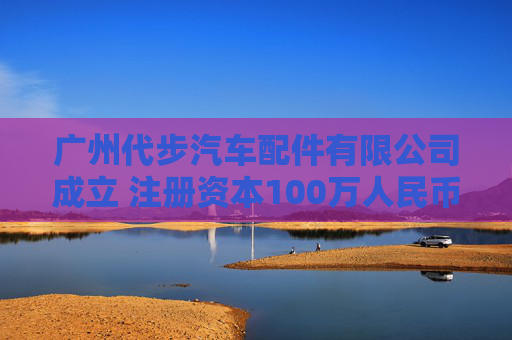 广州代步汽车配件有限公司成立 注册资本100万人民币  第1张