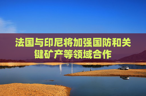 法国与印尼将加强国防和关键矿产等领域合作